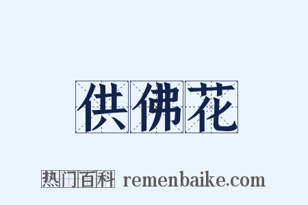 供佛花是什么意思的图片